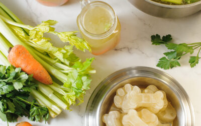 Why Bone Broth is a Superfood for Dogs- Plus a Dog Friendly Chicken Broth Recipe